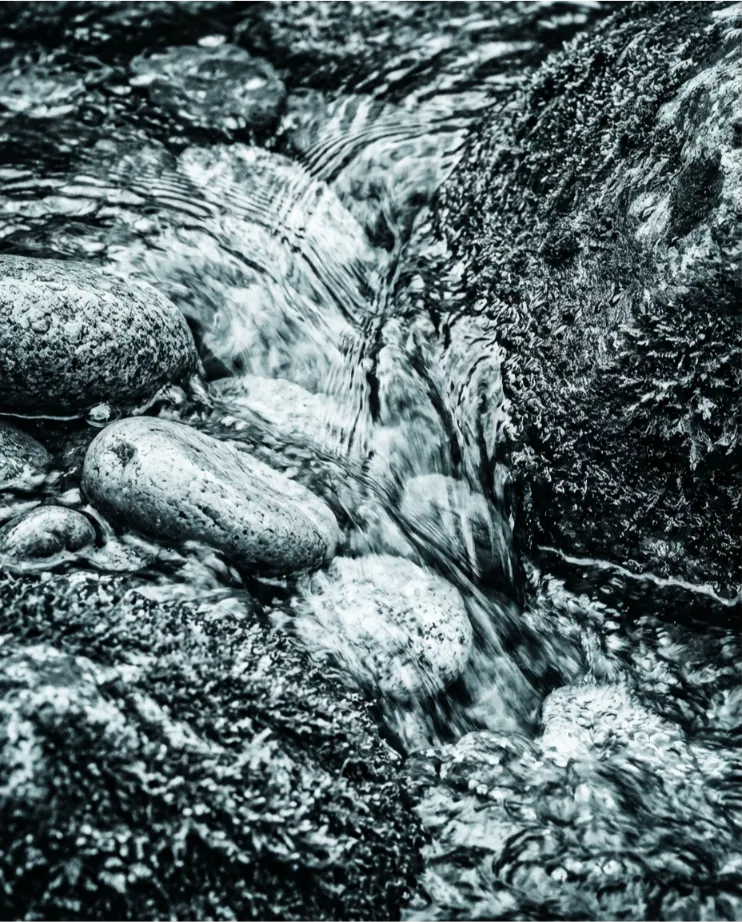 Portfolio placeholder