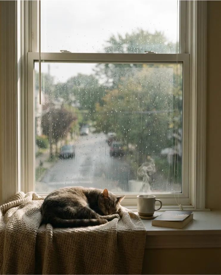 Portfolio placeholder